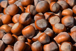 Grass Island Hazelnut